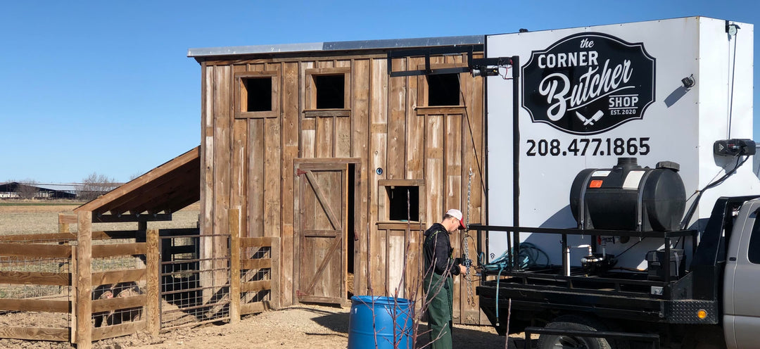 The Corner Butcher Shop Newsletter First Edition